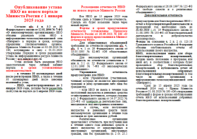 Функционал нового специализированного портала для НКО Функционал нового специализированного портала для НКО.