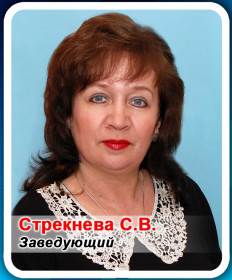 Стрекнева Светлана Владиславовна Стрекнева Светлана Владиславовна
